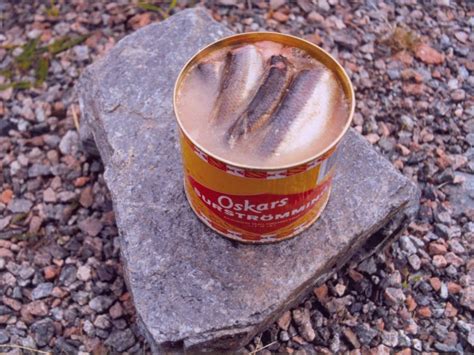 fermented fish|Surströmming: What To Expect From Sweden’s Fermented Fish .